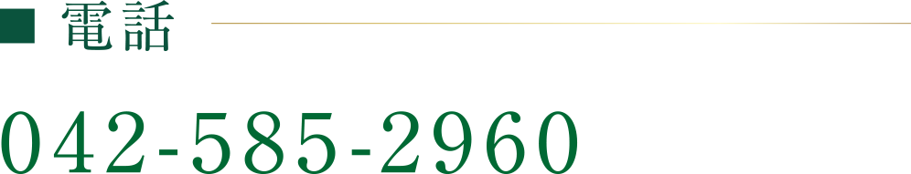 電話番号:042-585-2960