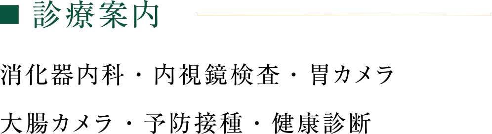 診察案内:消化器内科・内視鏡検査・胃カメラ大腸カメラ・予防接種・健康診断