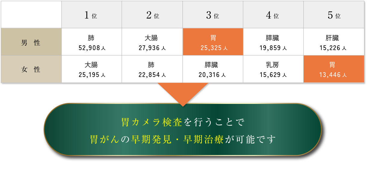 2023年 部位別がん死亡数の表／胃カメラ検査を行うことで胃がんの早期発見・早期治療が可能です